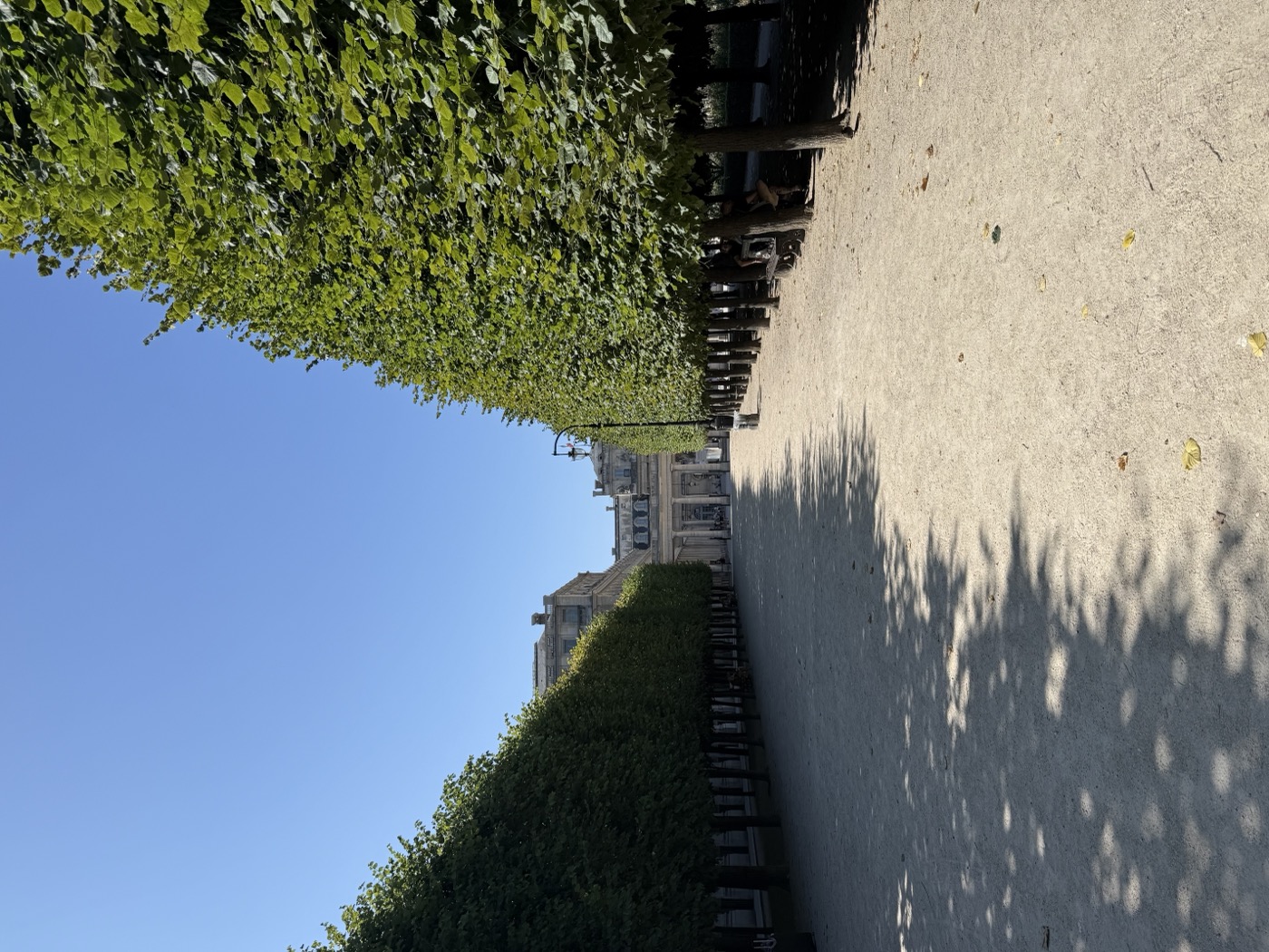 Портфолио — примеры работ